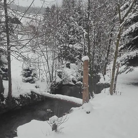 V Zelený Rokytnice nad Jizerou