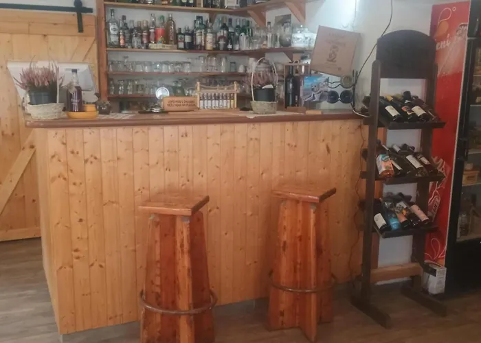 V Zelený 3* Rokytnice nad Jizerou