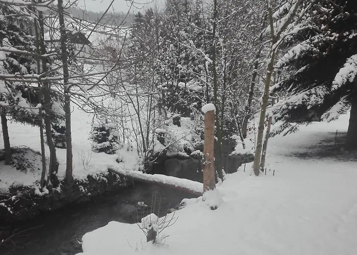 V Zelený Rokytnice nad Jizerou